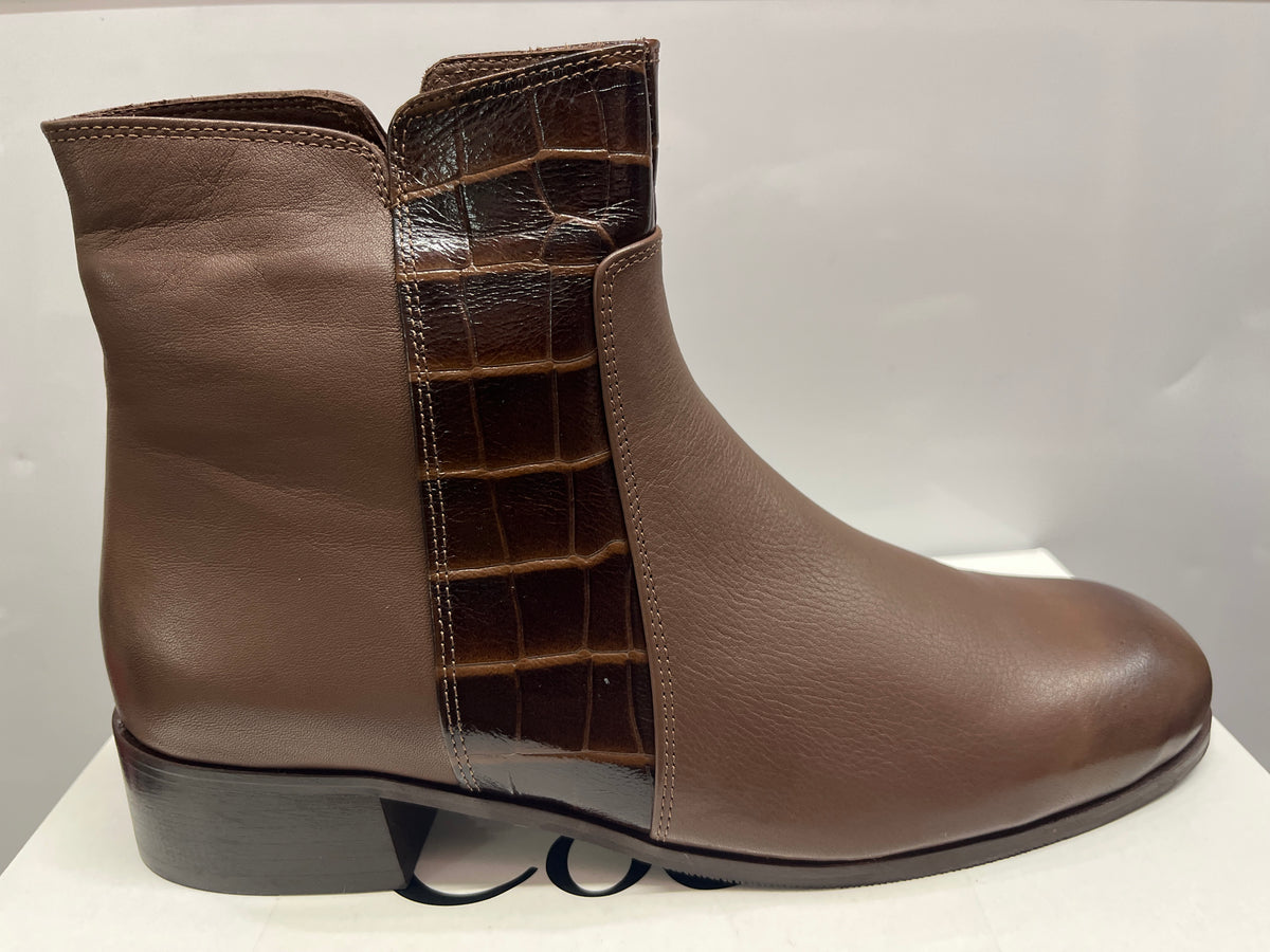 Jo & Coco 31300 Brown