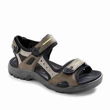 Ecco men’s Offroad yucatan sandal/ tarmac /moon rock